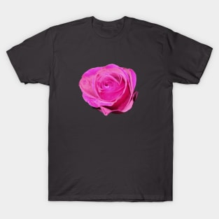 Pink rose T-Shirt